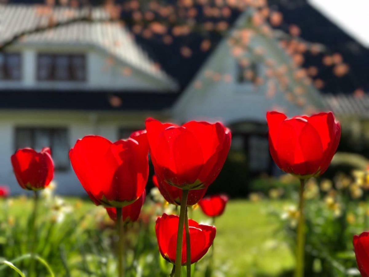 Landhaus Haack Tumlauer Koog Esterno foto