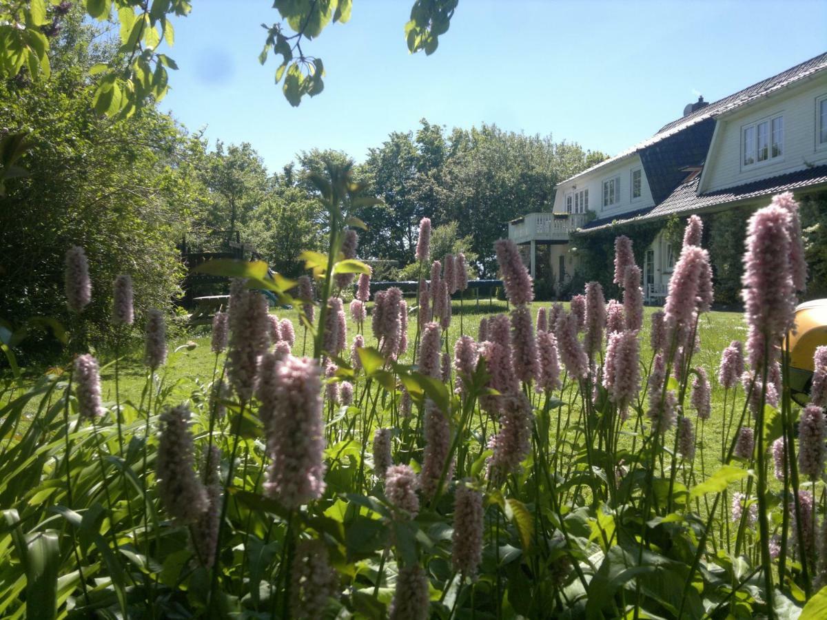 Landhaus Haack Tumlauer Koog Esterno foto