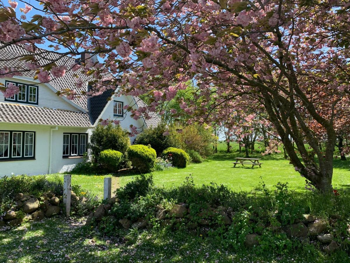 Landhaus Haack Tumlauer Koog Esterno foto