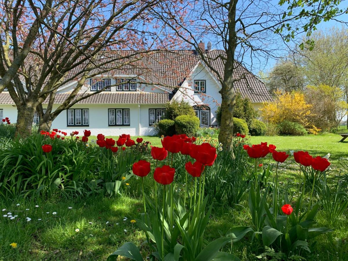 Landhaus Haack Tumlauer Koog Esterno foto