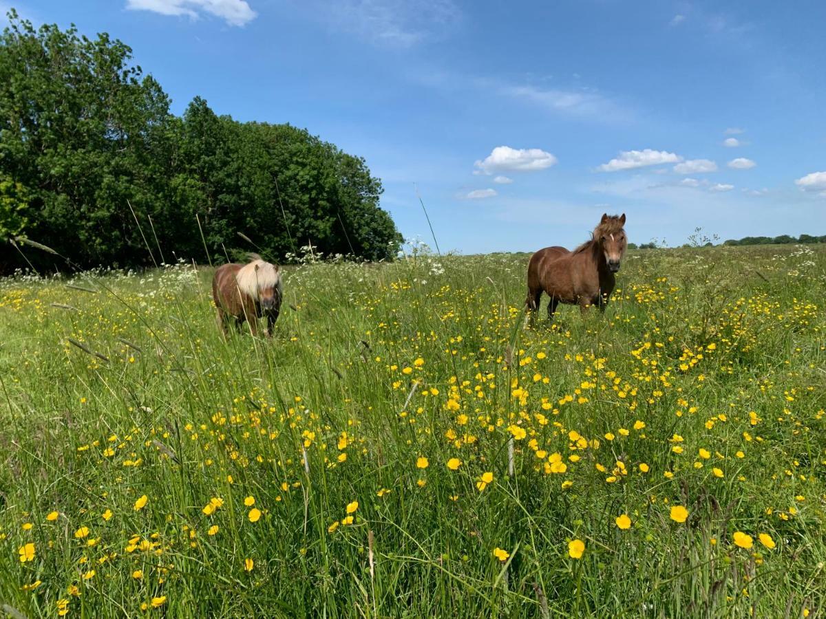 Landhaus Haack Tumlauer Koog Esterno foto